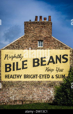 Galle Bohnen malte Anzeige auf Seite des Gebäudes in York, Großbritannien. Stockfoto