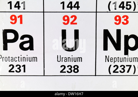 Uran (U) wie es scheint auf der periodischen Tabelle. Stockfoto
