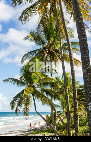 Itacarezinho Strand. Itacare, Bahia, Brasilien. Stockfoto