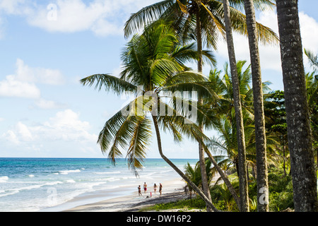 Itacarezinho Strand. Itacare, Bahia, Brasilien. Stockfoto