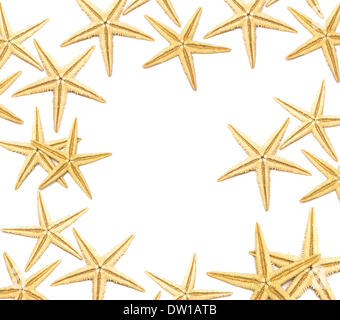Seesterne, die isoliert auf weißem Hintergrund Stockfoto