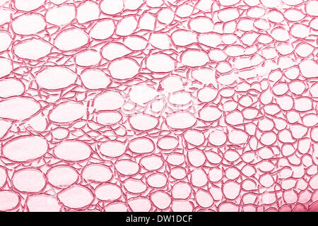 schöne Lederstruktur für Hintergrund Stockfoto