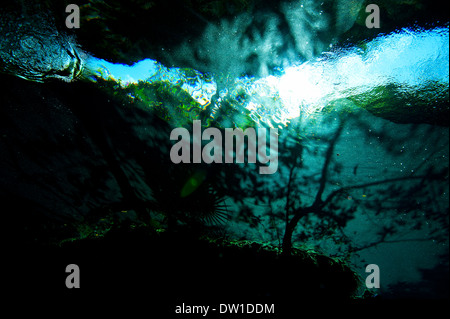 Landschaft und Umgebungslicht im Unterwasser Kulukan Cenote Höhle, Halbinsel Yucatan, Mexiko Stockfoto