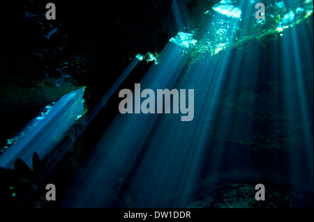 Landschaft und Umgebungslicht im Unterwasser Kulukan Cenote Höhle, Halbinsel Yucatan, Mexiko Stockfoto