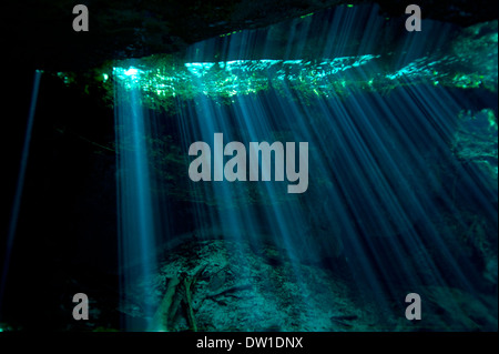 Landschaft und Umgebungslicht im Unterwasser Kukukan Cenote Höhle, Halbinsel Yucatan, Mexiko Stockfoto