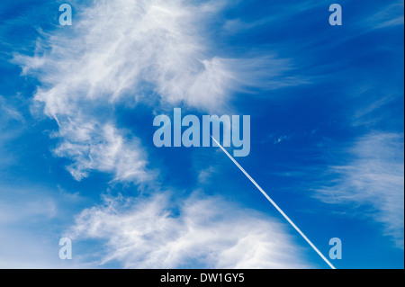 Jet Kondensstreifen und weiße Wolkenfetzen vor einem klaren blauen Himmel für Azure Colorado Stockfoto