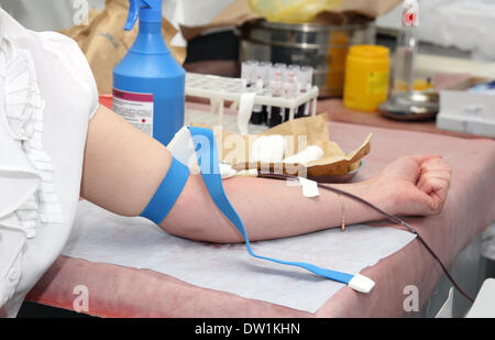 Blutspender im Labor Spende Stockfoto