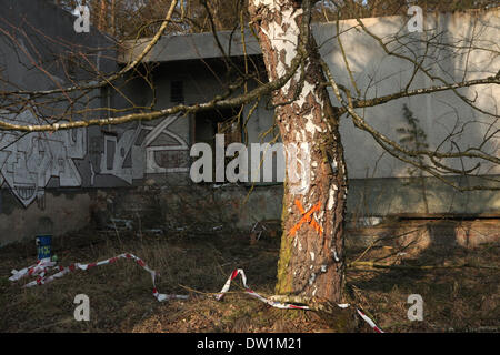 Milovice, Tschechische Republik. 25. Februar 2014. Eine Birke vor einem verlassenen Gebäude der Akku-Station im Bereich der sowjetischen Militärbasis in Milovice, liegt etwa 40 km von Prag, Tschechien. Ruinen der ehemaligen sowjetischen Militärbasis in Milovice sollen in kommenden Monaten um Platz für neue Gebäude abgerissen werden. Die Basis hat seit mehr als zwanzig Jahren aufgegeben worden, da die sowjetischen linke Tschechoslowakei im Jahr 1991 Truppen. Jetzt überlebt die verlassenen Militärbasis für die letzten Tage. Stockfoto