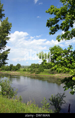 summer lake landscape Stockfoto