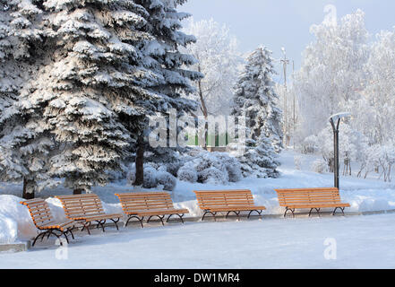 fünf Bänken im Schnee Winterpark Stockfoto