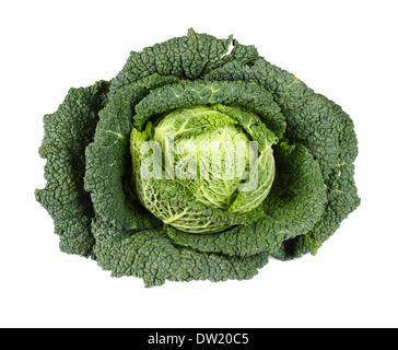 Wirsing, isoliert auf weiss Stockfoto