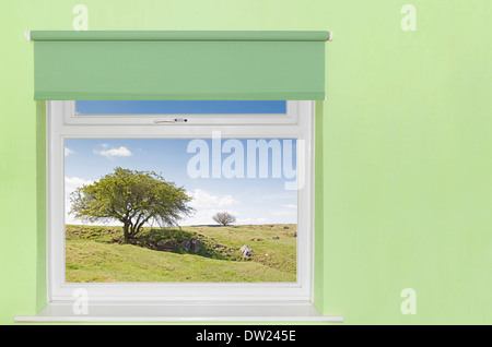 Ansicht des Baumes und felsige Rasen bedeckt Hügel aus einem Fenster Stockfoto