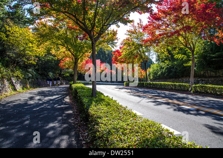 Präfektur Aichi, Japan Stockfoto