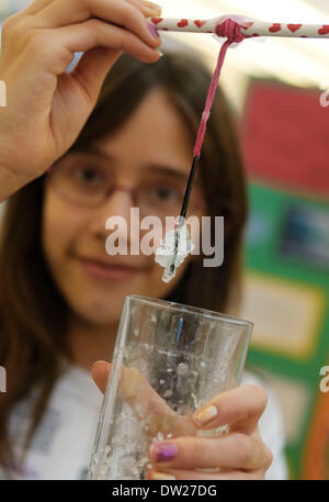 Vancouver, Kanada. 25. Februar 2014. Studentin zeigt ihre Kristallisation Experiment während der 11. Wissenschaft Jam in Richmond, Kanada, 25. Februar 2014. Ca. 1.100 Schüler aus 14 Grundschulen nahmen an der 11. jährliche Wissenschaft Jam. Diese größte nicht-kompetitiver Messe in Britisch-Kolumbien boten Möglichkeiten der jungen Wissenschaftlerinnen und Wissenschaftlern zu zeigen und teilen ihre Erkenntnisse der Wissenschaft und Experimente. © Liang Sen/Xinhua/Alamy Live-Nachrichten Stockfoto