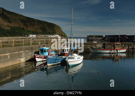 Burnmouth und Burnmouth Hafen auf dem Küstenpfad Berwickshire, Scottish Borders Stockfoto