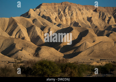 Negev-Wüste, Wadi Zin Wüste Zin, Israel Stockfoto