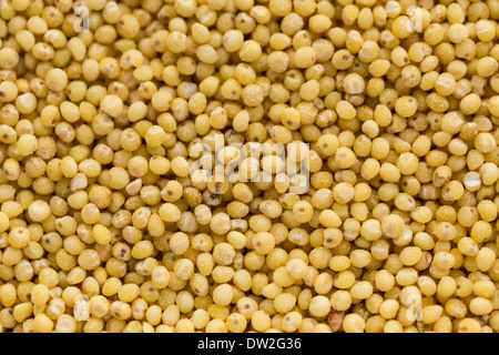 kleinen trockenen Samen von Getreide in Essen-Hintergrund Stockfoto