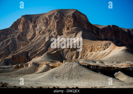 Negev-Wüste, Wadi Zin Wüste Zin, Israel Stockfoto