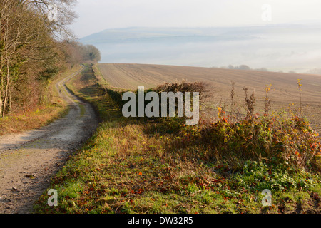 Misty South Downs-Landschaft in der Nähe von Arundel in West Sussex. England. Mit Dirt-Track. Stockfoto