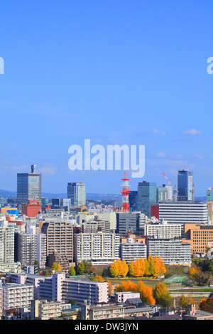 Blick auf Sendai, Präfektur Miyagi Stockfoto