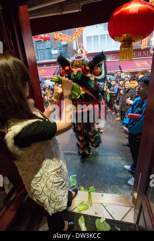 Löwe-Tänzerin aus der London Chinatown Chinese Association gegeben Angebote in der Tür des Feng Shui Inn an Chinese New Year, Gerrard Street, London, England Stockfoto