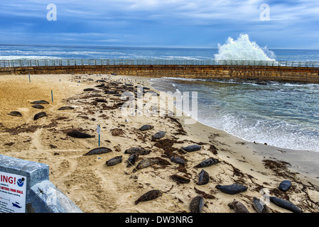 Winken Sie Auswirkungen auf die Ufermauer an die Kinder Pool Strand. La Jolla, Kalifornien, USA. Stockfoto