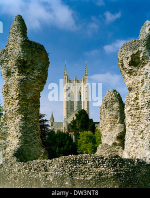 St Edmundsbury Cathedral, Bury St Edmunds, Suffolk, umrahmt von den Ruinen der alten Abtei Stockfoto