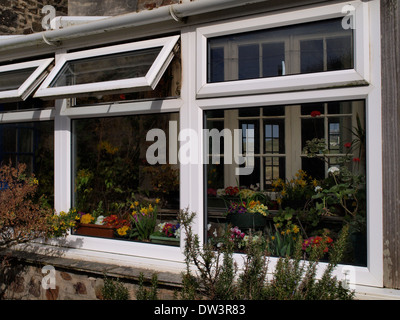 Wintergarten voller Blumen, Cornwall, UK Stockfoto