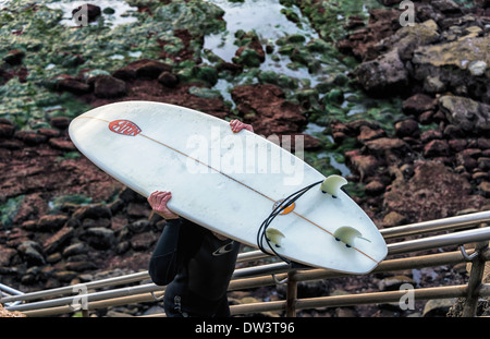 Surfer ein Surfbrett, eine Treppe am Sunset Cliffs Natural Park. San Diego, Kalifornien, USA. Stockfoto