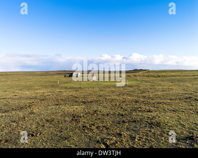 dh Golfplatz SANDAY ORKNEY Clubhaus und eingezäunten putting Grün 9 Loch-Golfplatz Stockfoto