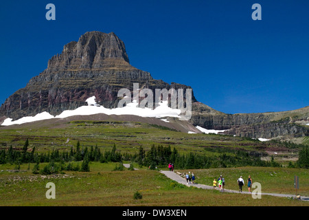 Reynolds Berg am Logan Pass entlang der kontinentalen Wasserscheide im Glacier National Park, Montana, USA. Stockfoto