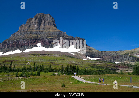 Reynolds Berg am Logan Pass entlang der kontinentalen Wasserscheide im Glacier National Park, Montana, USA. Stockfoto