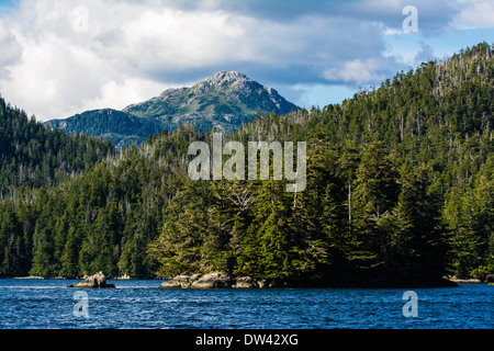 Die Inside Passage von Südost-Alaska, Tongass National Forest, Alaska, USA Stockfoto