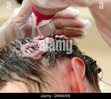 Frau, die Anwendung von Haarfärbemitteln, ihr Hinterkopf Stockfoto