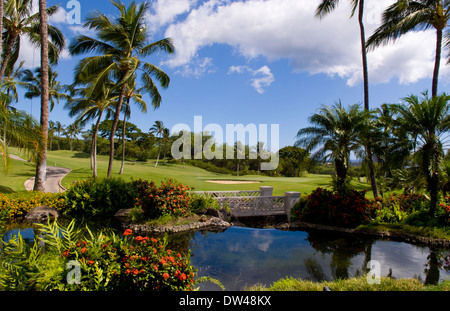 Exklusiven Wailea Gold-Kurs #18 Loch mit Palmen und Schönheit in Maui Hawaii Stockfoto