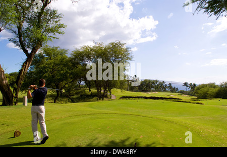Golfer fahren bei exklusiven Wailea Gold-Kurs Loch #5 mit Palmen und Schönheit in Maui Hawaii Stockfoto