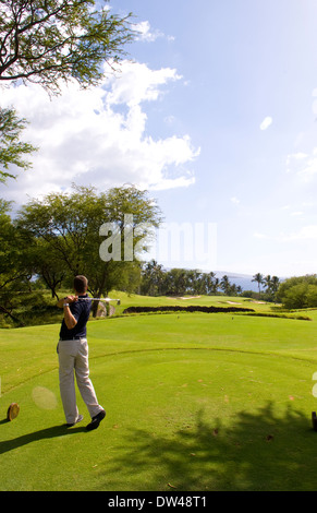 Golfer fahren bei exklusiven Wailea Gold-Kurs Loch #5 mit Palmen und Schönheit in Maui Hawaii Stockfoto