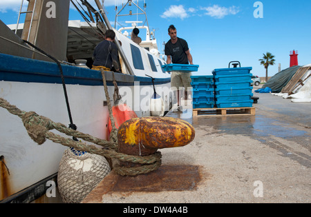 Fischer Fisch aus Trawler auf Xabia entladen Stockfoto