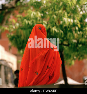 Jaipur in Rajasthan in Indien in Südasien. Sari Frau weibliche Kultur Mode Leben Lifestyle Farbe Farbe Reisen Wanderlust Orange Stockfoto