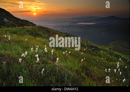 Blick auf den Sonnenaufgang vom Torc Berg. Co.Kerry. Stockfoto