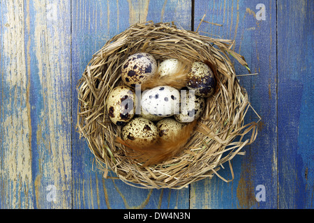 Eiern in einem Nest auf hölzernen Hintergrund Stockfoto