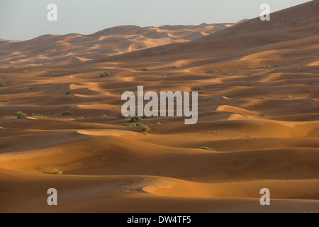 Meer von Sanddünen der Sahara dehnen Weg in die Ferne bei Sonnenuntergang, Erg Chebbi, Merzouga, Marokko Stockfoto