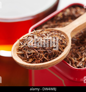 Rooibos in Tee Tin Box und Holzlöffel Nahaufnahme Stockfoto