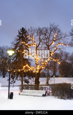 Lange weiße Parkbank unter beleuchteten Baum in einer Winternacht Stockfoto