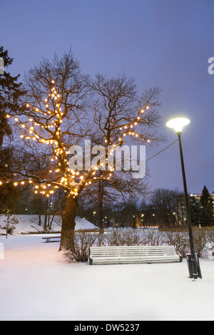 Lange weiße Parkbank unter beleuchteten Baum in einer Winternacht Stockfoto