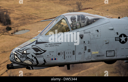 US Air Force a-10 Thunderbolt II Flugzeug während einer Trainingsmission über Razorback Bereich im Fort Chaffee Manöver Training Center 30. Dezember 2013 in Fort Smith, Arkansas. Stockfoto