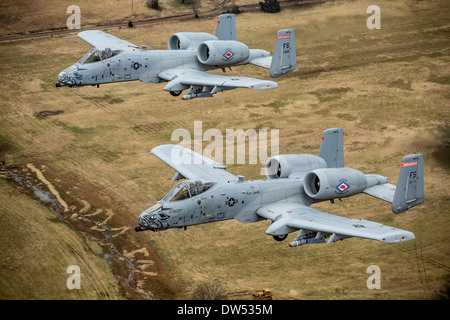 US-Luftwaffe a-10 Thunderbolt II Flugzeuge fliegen in Formation während einer Trainingsmission über Razorback Bereich im Fort Chaffee Manöver Training Center 30. Dezember 2013 in Fort Smith, Arkansas. Stockfoto