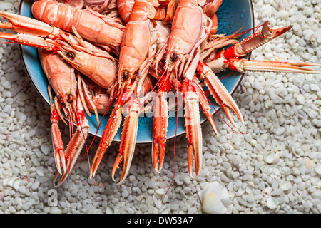 Frische Scampi am Strand serviert Stockfoto