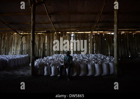 Aguadulce, Panama. 27. Februar 2014. Eine Arbeitskraft beruht auf Säcke Salz in ein Weingut in den Bezirk von Aguadulce, etwa 190km westlich von Panama-Stadt, Hauptstadt von Panama, am 27. Februar 2014. Mit einer Produktion von 100.000 Zentner pro Mund beklagen handwerkliche Salzproduzenten Aguadulce Sektor, dass ihre Gewinne um rund 50 Prozent gesunken, da die Regierung von Panama aus Kolumbien Zölle für die Einfuhr von Salz gesenkt. © Mauricio Valenzuela/Xinhua/Alamy Live-Nachrichten Stockfoto