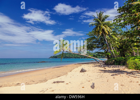 Tropischer Strand in der thailändischen Provinz Khao Lak Stockfoto